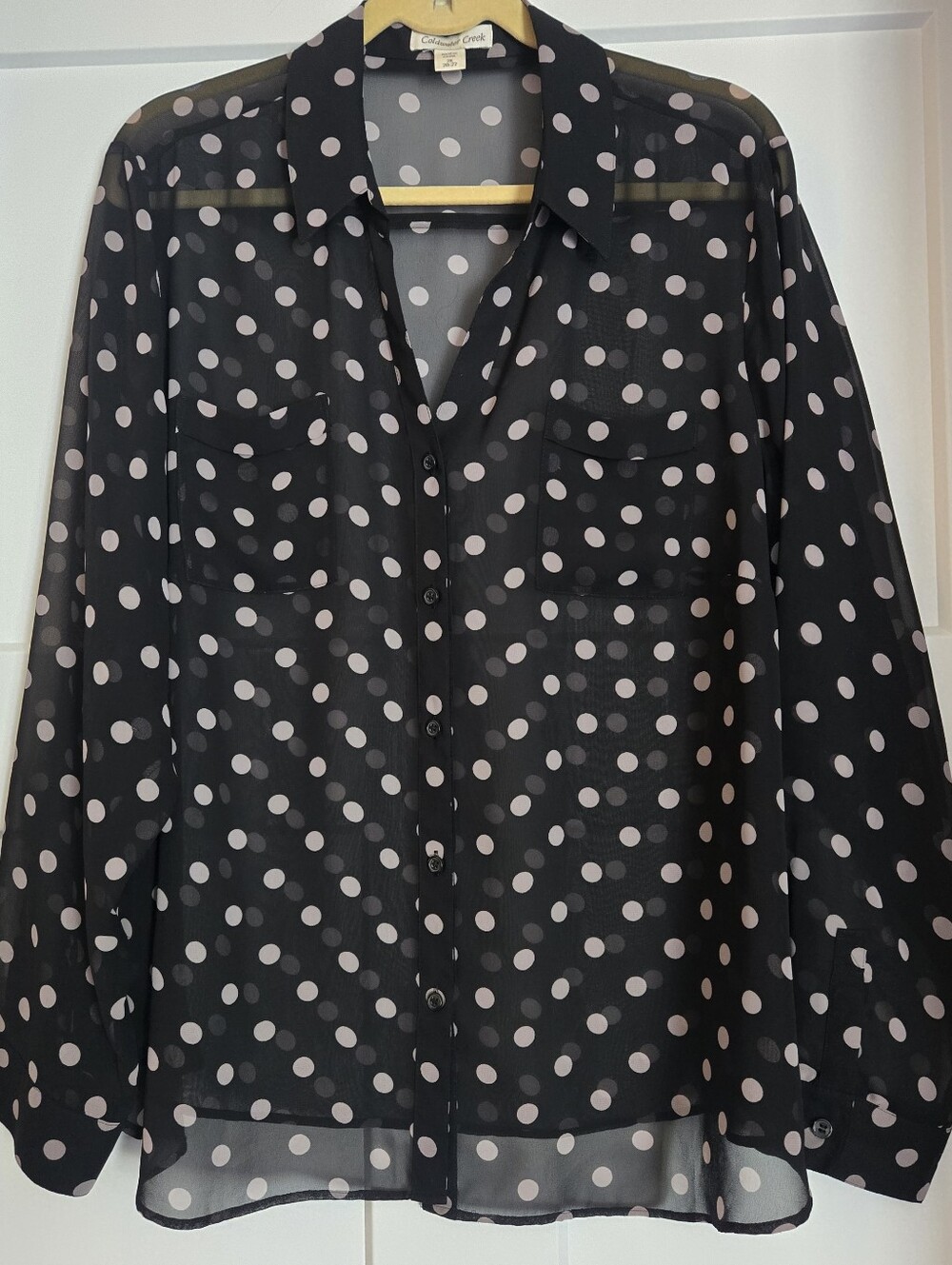 Coldwater Creek Polka Dot Sheer Button-Up Blouse